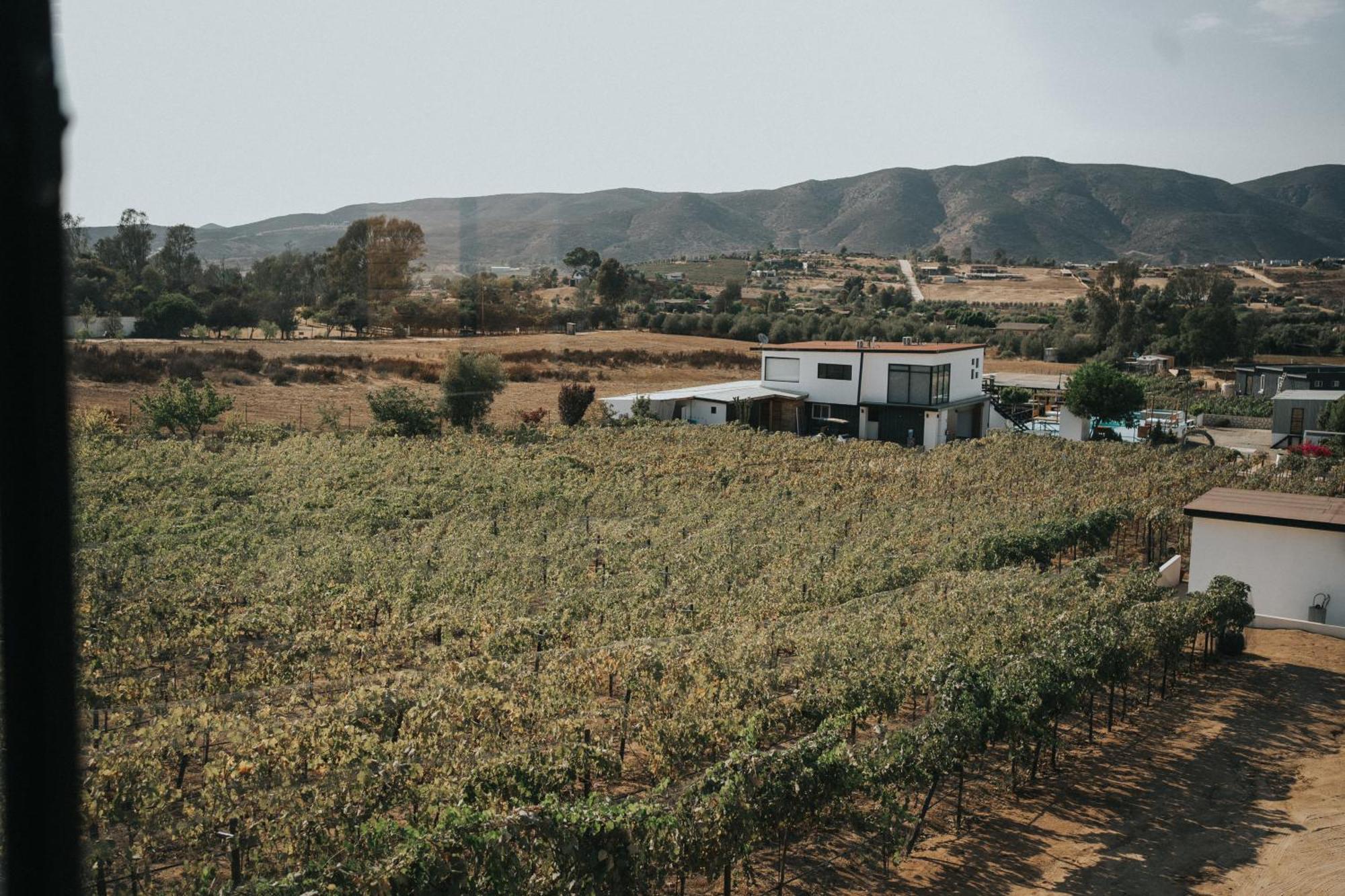 Hacienda Los Golfo Valle de Guadalupe Buitenkant foto