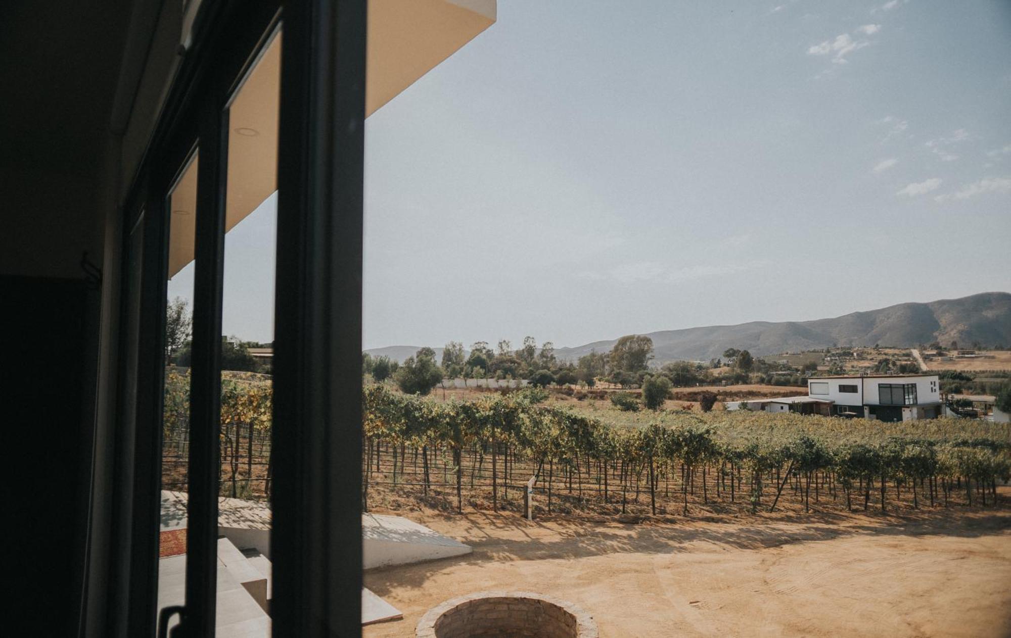 Hacienda Los Golfo Valle de Guadalupe Buitenkant foto